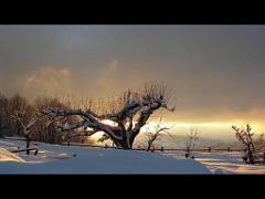 100 POUR CENT PUR HAUTES ALPES_000028